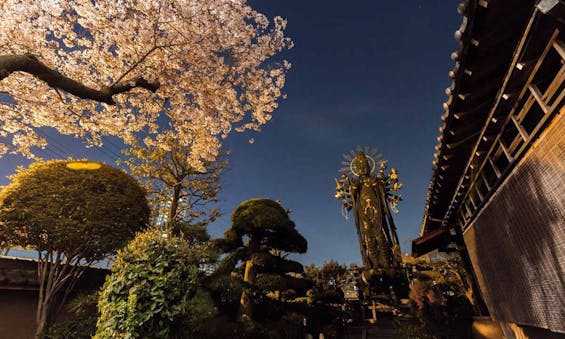 興徳寺墓苑 一般墓・永代供養墓・樹木葬