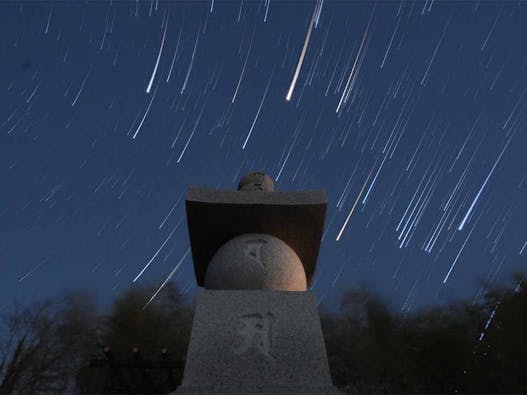 空海寺 天平墓苑