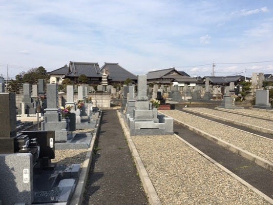 松林寺の画像