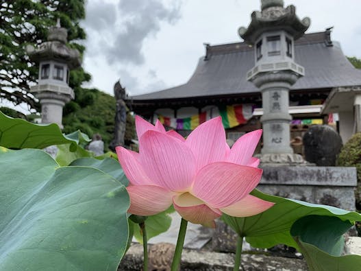 耕雲院 種月観音霊廟