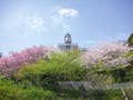 花山曼荼羅聖苑 樹木葬 裏山全景に春には桜が満開