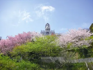 花山曼荼羅聖苑 樹木葬