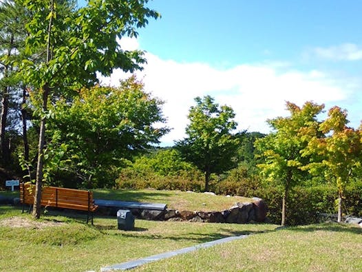 樹木葬墓地「桜葬」