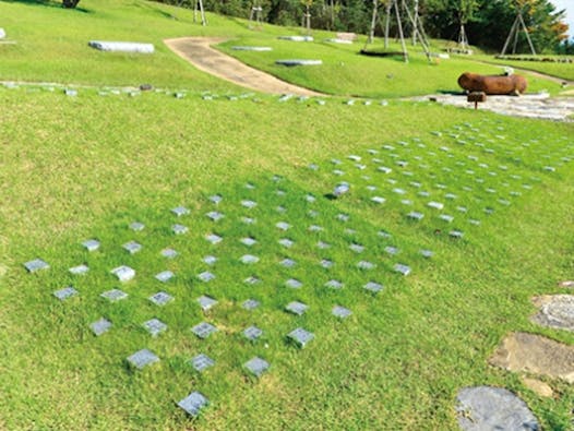 樹木葬墓地「桜葬」