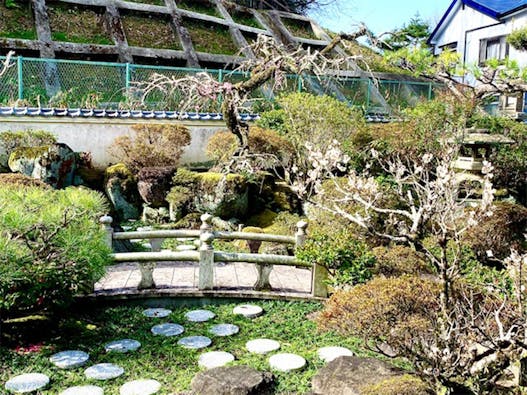 高天原本宮 神道庭園樹木葬