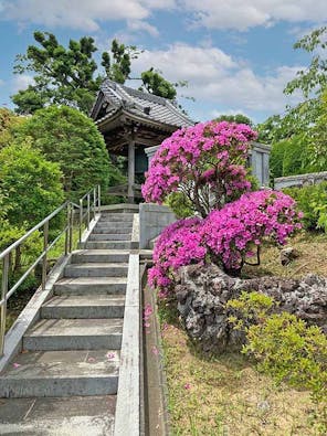 横須賀衣笠樹木葬墓地