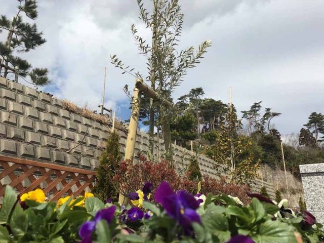 マイメモリー樹木葬 のびる