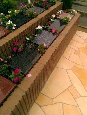 マイメモリー樹木葬 のびる