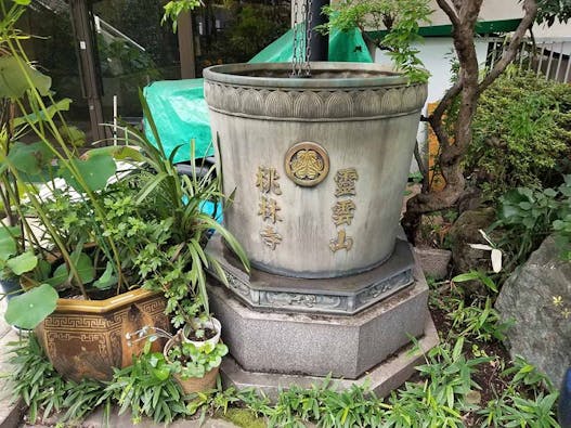 桃林寺 のうこつぼ