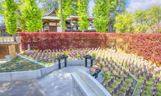 観音院墓苑 永代供養墓・樹木葬