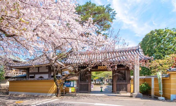 一乗院墓苑 永代供養墓・樹木葬