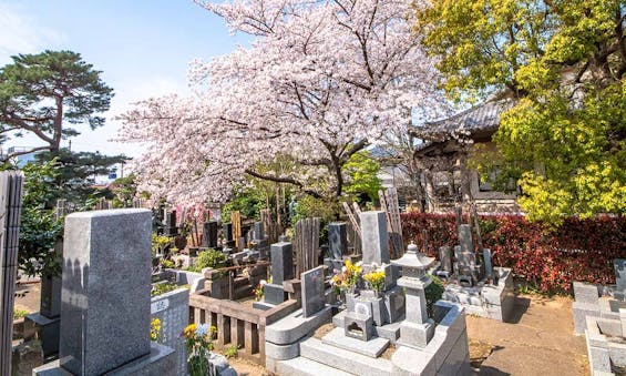 一乗院墓苑 永代供養墓・樹木葬