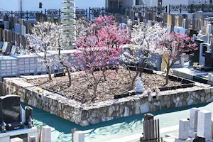 青山梅窓院 永代供養墓・樹木葬(港区)の永代供養墓