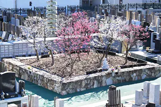 青山梅窓院 永代供養墓・樹木葬