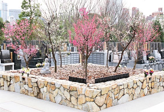 青山梅窓院 永代供養墓・樹木葬