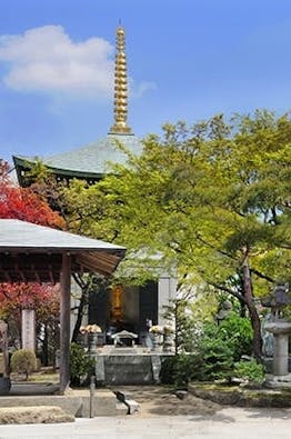 梅窓院 永代供養墓・樹木葬