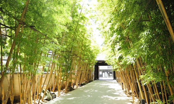 梅窓院 永代供養墓・樹木葬