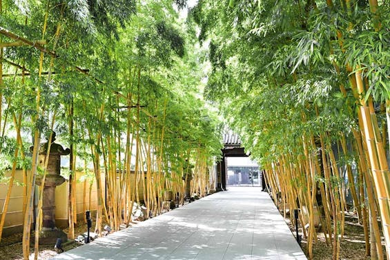 青山梅窓院 永代供養墓・樹木葬