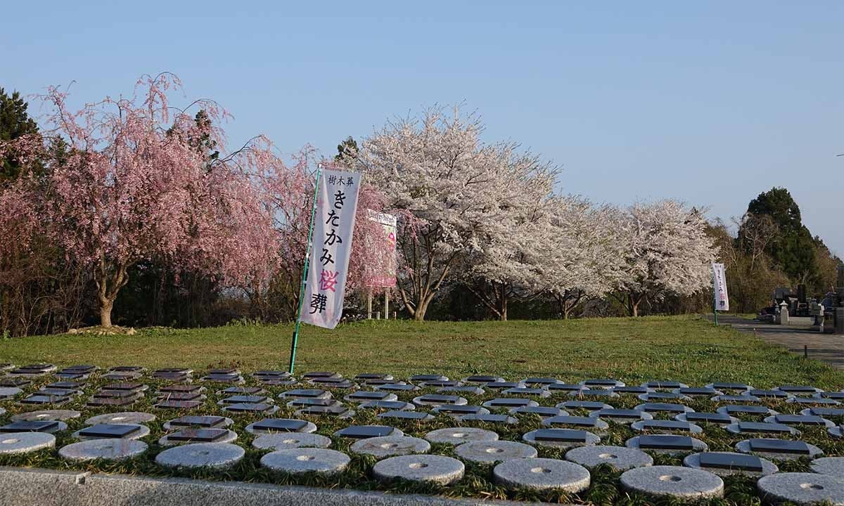 きたかみ桜葬