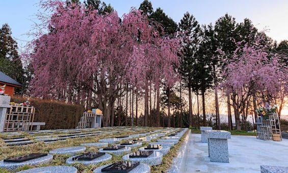 きたかみ桜葬