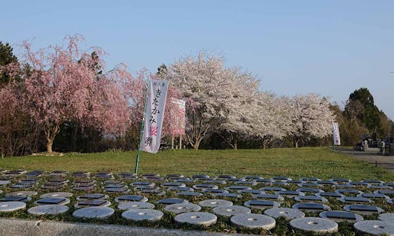 きたかみ桜葬