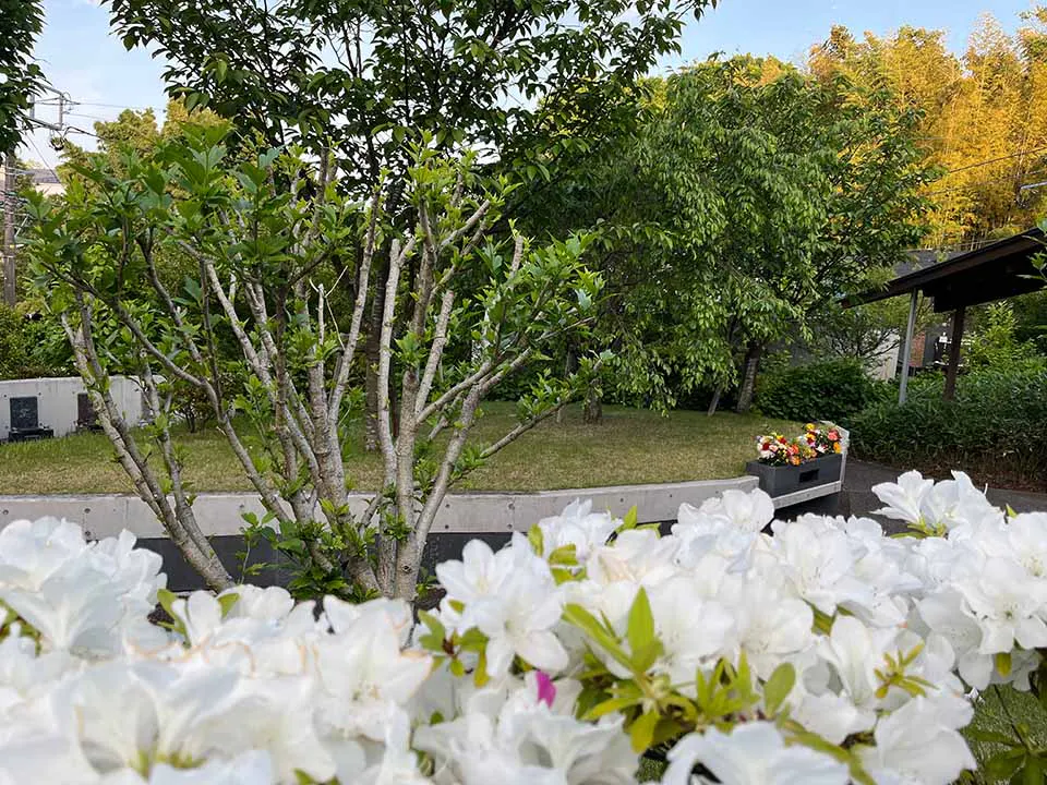 本覚寺の森 観音霊園 初夏には、ツツジを眺めながらお参りいただけます。