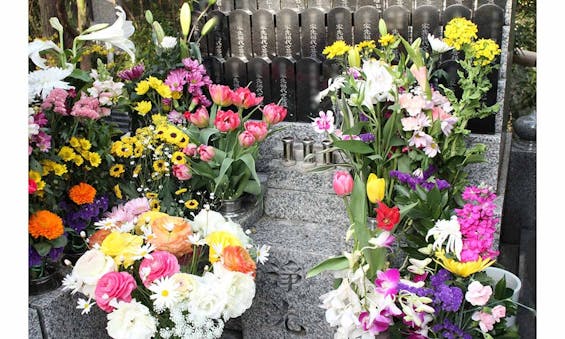 太春寺の永代供養 天照苑 「小さなお墓・家族墓」