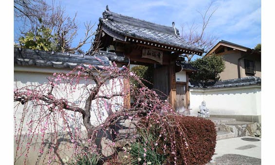 太春寺の永代供養 天照苑 「小さなお墓・家族墓」