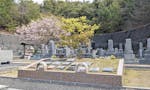 グリーンガーデン丸子山 シンボルツリーのもとで眠る樹木葬墓地