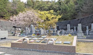 丸子山樹木葬墓地の画像