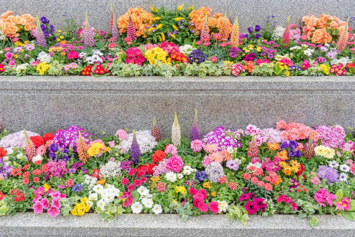舎人木花葬苑(東京都足立区)の概要・価格・アクセス｜東京の霊園.com