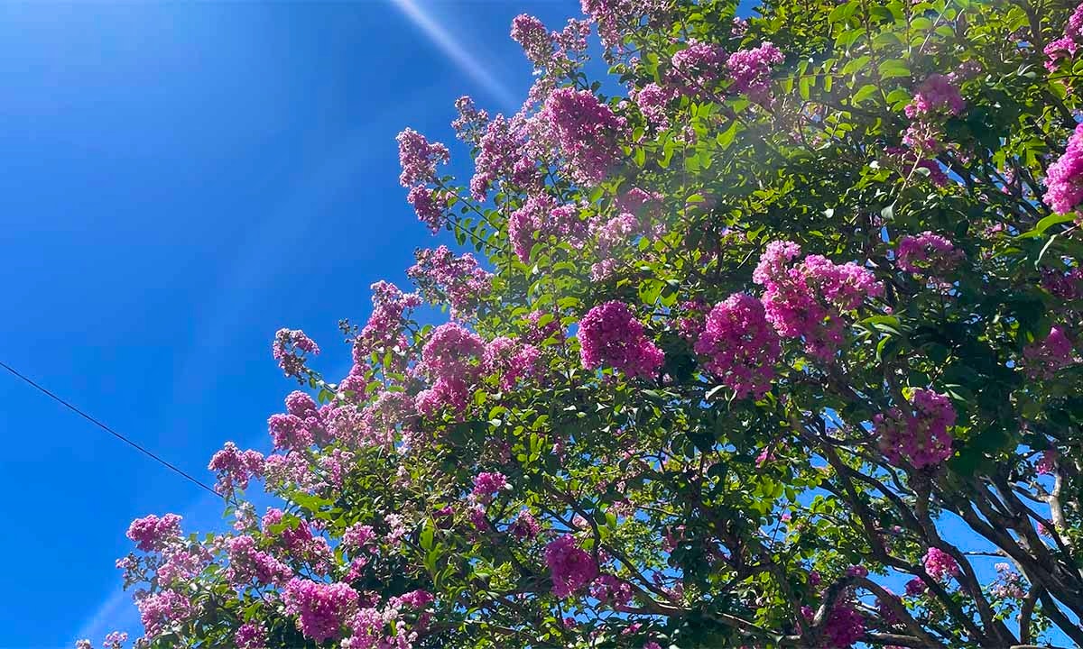 清岸寺 平成行徳陵苑
