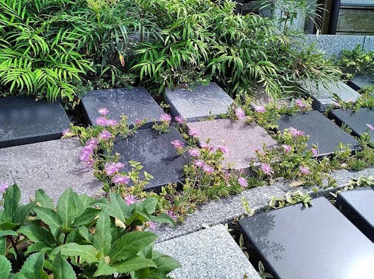 願正寺樹木葬 「浄樹苑」