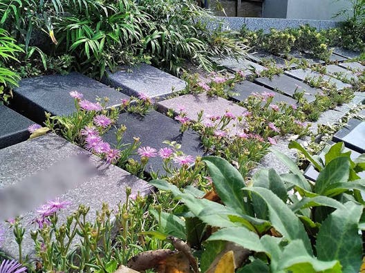 願正寺樹木葬 「浄樹苑」