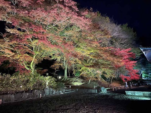 心源院 のうこつぼ