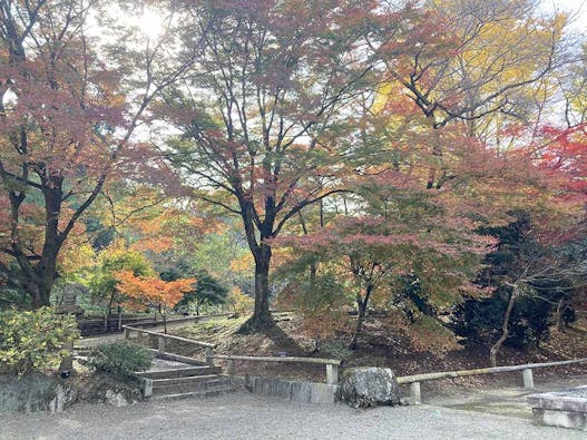 心源院 のうこつぼ