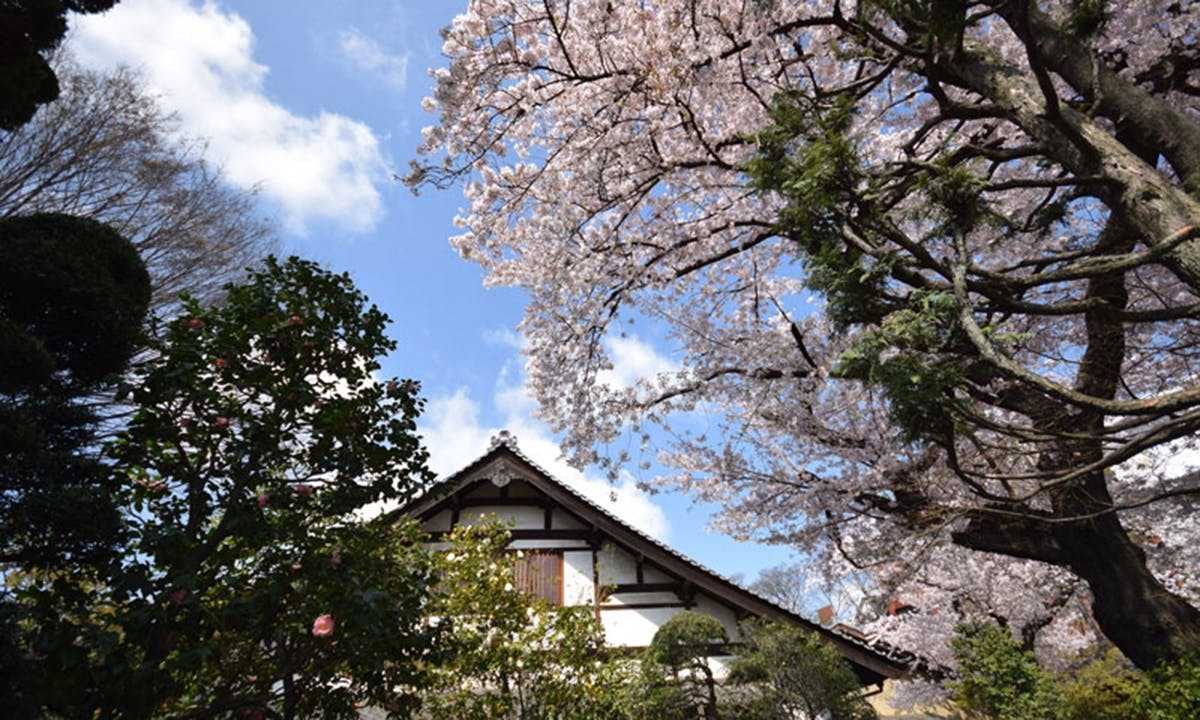 広尾 祥雲寺墓苑