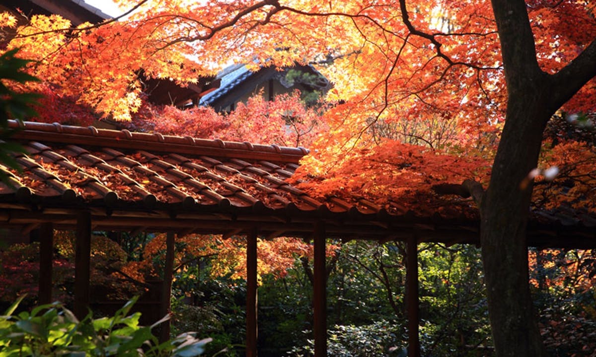 広尾 祥雲寺墓苑