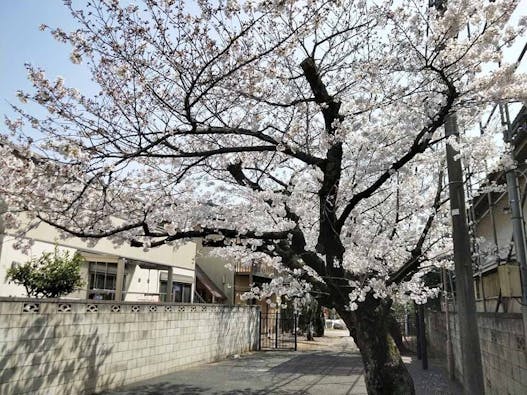 不動院 のうこつぼ