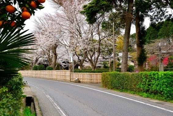 法巌寺 のうこつぼ