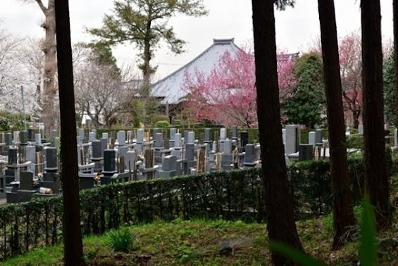 法巌寺 のうこつぼ