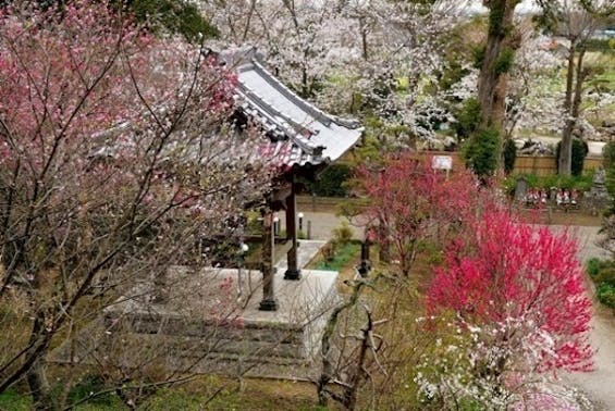 法巌寺 のうこつぼ