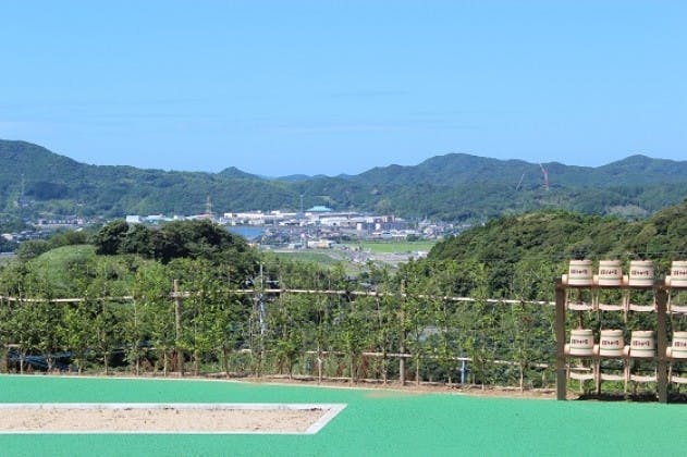 佐々中央霊園の画像