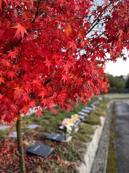 東広島 樹木霊園