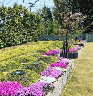 東広島 樹木霊園