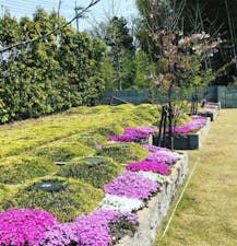 東広島 樹木霊園の画像