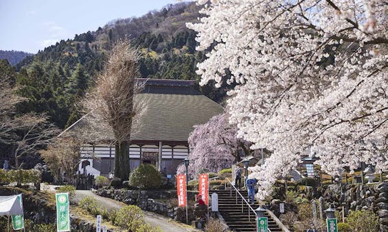 花の寺 宝積寺「宝桜の庭」樹木葬