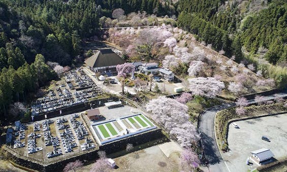 花の寺 宝積寺「宝桜の庭」樹木葬