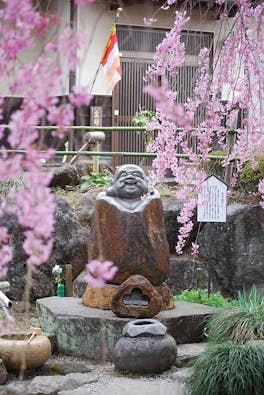 花の寺 宝積寺「宝桜の庭」樹木葬