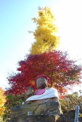 花の寺 宝積寺「宝桜の庭」樹木葬